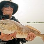 article image - 